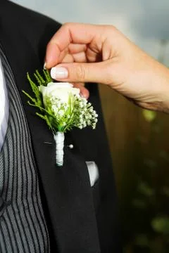Wedding #38 Stock Photos