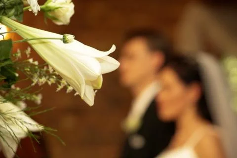 Wedding #39 Stock Photos