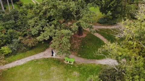 Wedding, aerial view Stock Footage 103480388