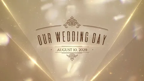 Wedding Stock After Effects