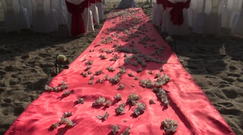 Wedding Altar on a beach, clip 2 of 2 Stock Footage 38250539
