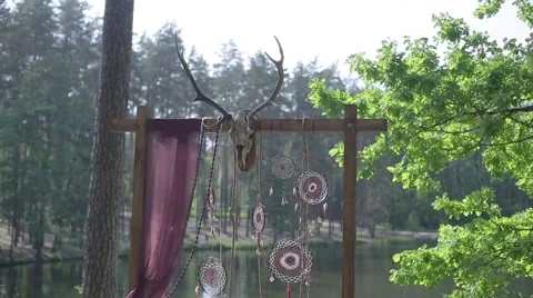 Wedding altar with a stuffed deer Stock Footage 61264425