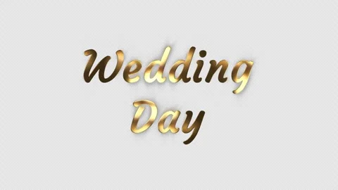 Wedding animation. The wedding of title. Wedding intro. Elegant gold particles. Stock Footage 321027496