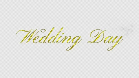 Wedding animation. The wedding of title. Wedding intro. Elegant gold particles. Stock Footage 321027554