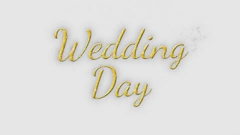 Wedding animation. The wedding of title. Wedding intro. Elegant gold particles. Stock Footage 321027597