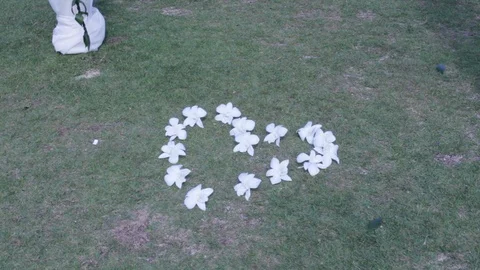 Wedding Arc (2) Stock Footage 104787372