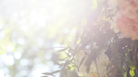 Wedding arch for the ceremony from the branches of trees and flowers in the Stock Footage 65502601