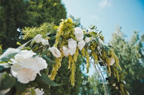 Wedding arch from flowers  Stock Photos