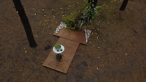 Wedding arch in the forest. Drone view Stock Footage 255218139