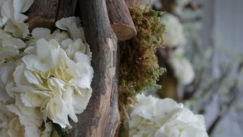 Wedding arch plants close up white flowers Stock Footage 103547128