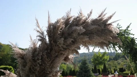 Wedding arch. Wedding Arch In The Open Air. Stock Footage 167604683