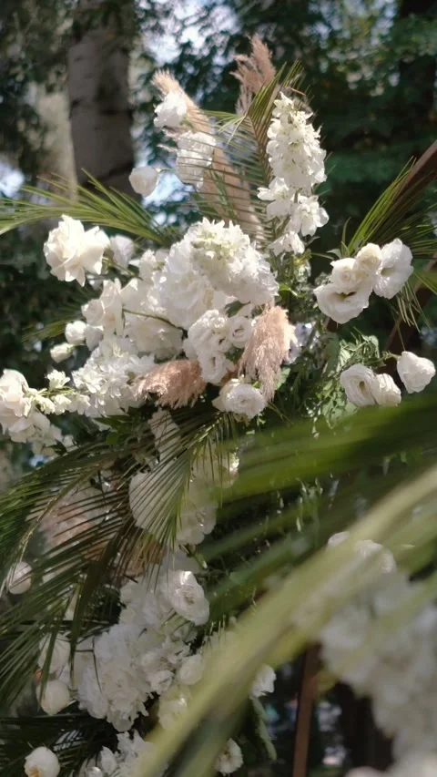 Wedding arch of white rose flowers the wedding ceremony of the bride and groom Stock Footage 282912736