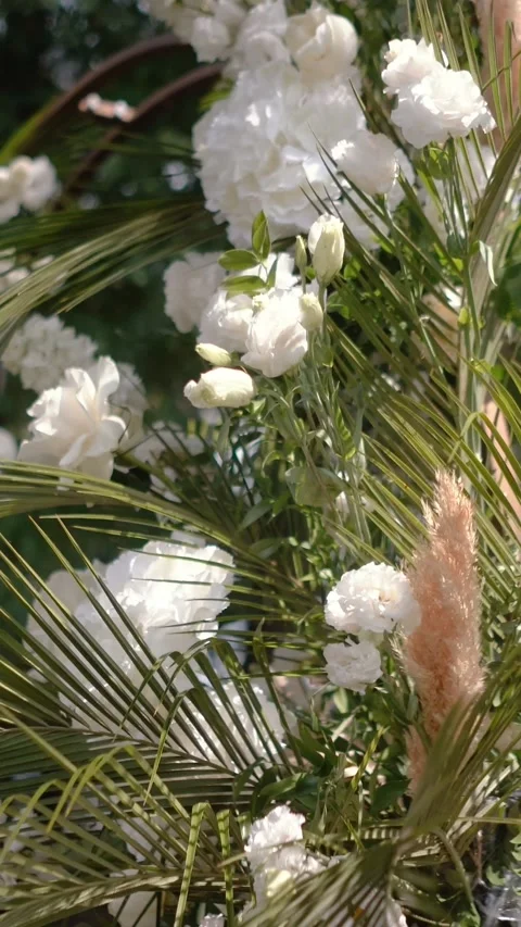 Wedding arch of white rose flowers the wedding ceremony of the bride and groom Stock Footage 282913193