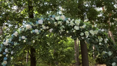 Wedding arch of white roses in the forest before the wedding ceremony Stock Footage 282166111