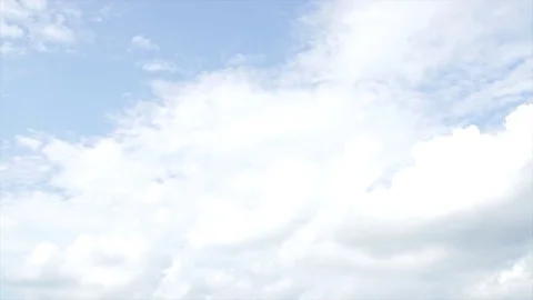 Wedding area in vineyard Stock Footage 84979530