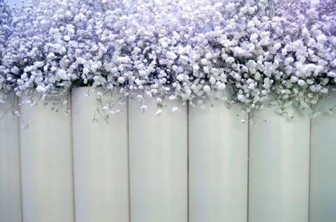 Wedding arrangements Stock Photos