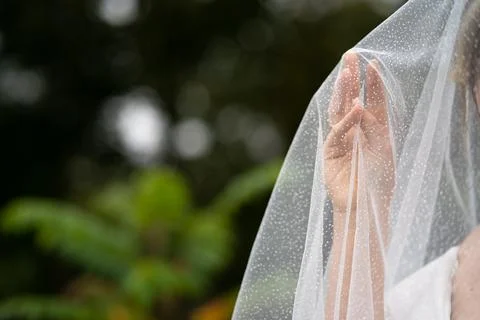 Wedding background, the bride's hand under the veil. Stock Photos