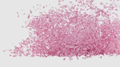 Wedding background. Petals falling and making Heart shape. Stock-Footage 236384159