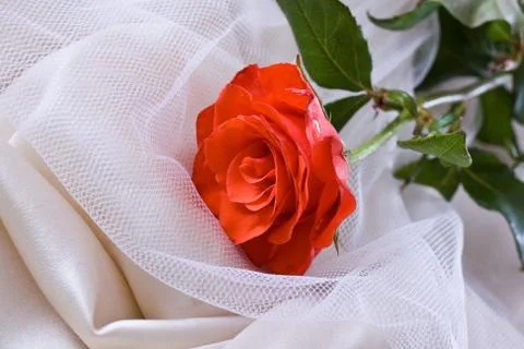 Wedding background 스톡 사진