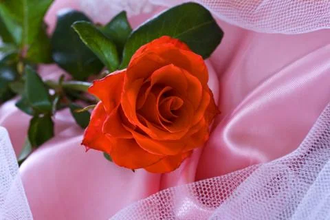 Wedding background Stock Photos