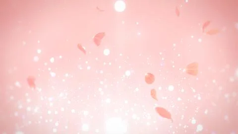 Wedding Background with rose petals and bokeh particle floating loop background  Stock Illustration