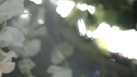 Wedding Backgrounds Romantic Stock Footage 74105883