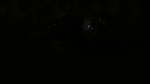 Wedding Bands Stock Footage 104774077