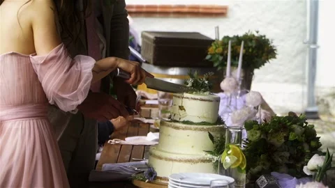 The wedding banquet. the wedding feast.  Stock Footage 279880300