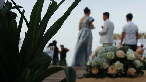 Wedding on the beach Stock Footage 91143516