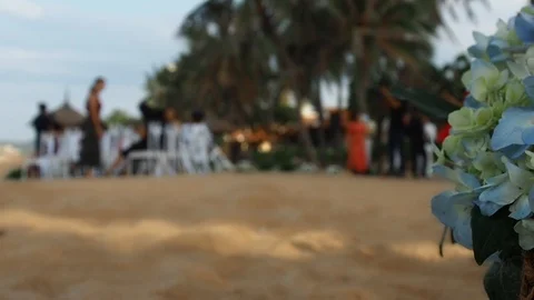 Wedding on the beach Stock Footage 91143817
