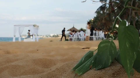 Wedding on the beach Stock Footage 91144306