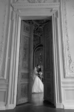 The wedding begins Foto stock