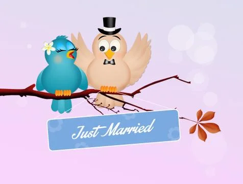 Wedding of birds Stock Illustration