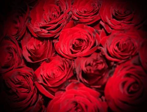 Wedding blurred background Stock Illustration