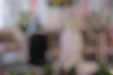Wedding with a blurred background Stock Photos