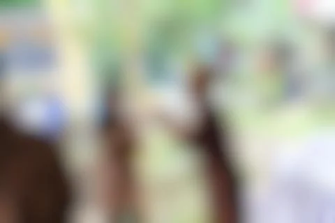 Wedding with a blurred background Stock Photos