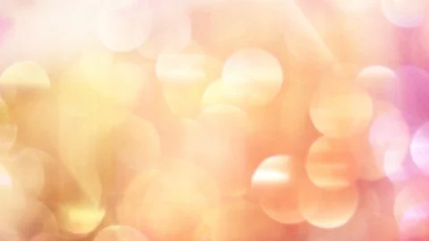 Wedding bokeh summer background Stock-Footage 88656701