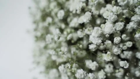 Wedding bouquet of the bride Stock Footage 172192531