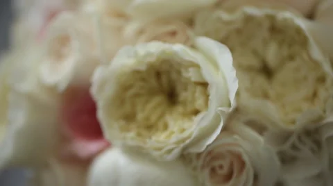 Wedding Bouquet  Close Up Stock Footage 65052513