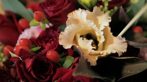 Wedding bouquet. close-up. Stock Footage 75538753