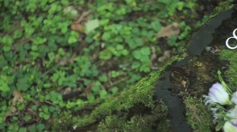 Wedding bouquet Stock Footage 44916610