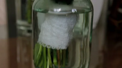 Wedding bouquet Video stock 46839207