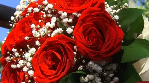 Wedding bouquet Stock Footage 97971137