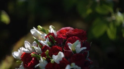 Wedding bouquet Stock Footage 101731579