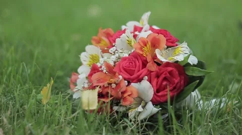 Wedding bouquet on the grass Stock Footage 59781941