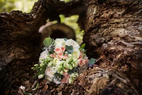 Wedding bouquet in an old tree Stock Photos