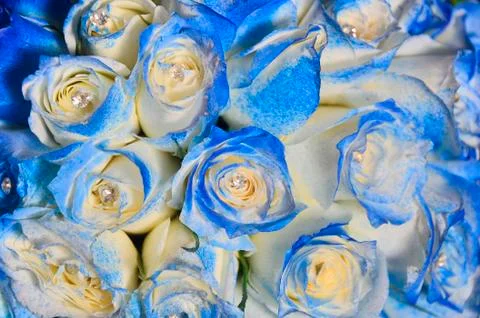 Wedding bouquet Foto stock