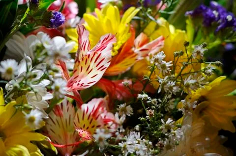Wedding bouquet Stock Photos