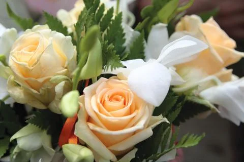Wedding Bouquet Stock Photos