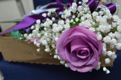 Wedding Bouquet, Roses, White and Purple Stock Photos